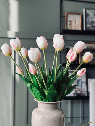 Tulipaner | Flere Farver | Vanero