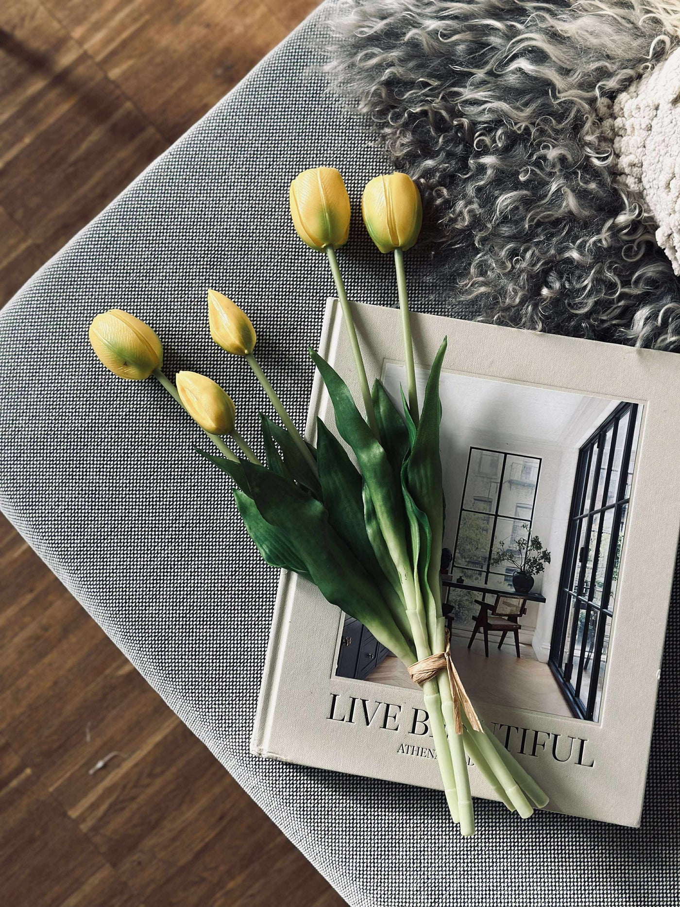 Tulipaner | Flere Farver | Vanero