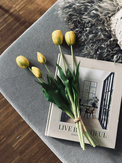 Tulipaner | Flere Farver | Vanero