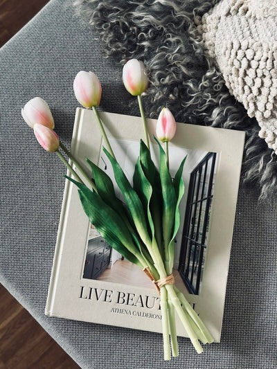 Tulipaner | Flere Farver | Vanero
