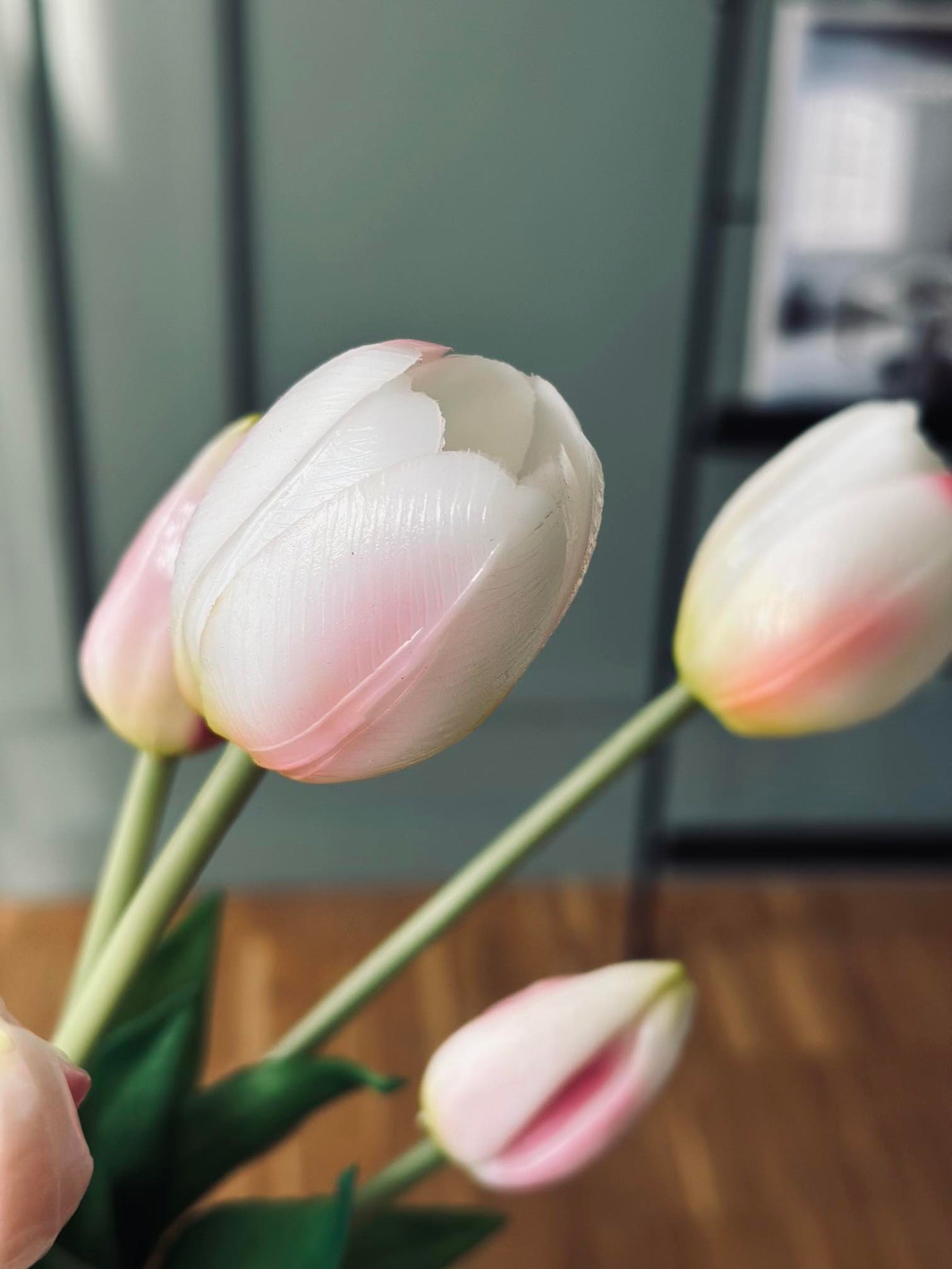Tulipaner | Flere Farver | Vanero
