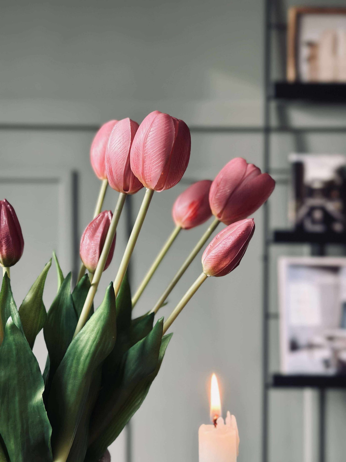 Tulipaner | Flere Farver | Vanero