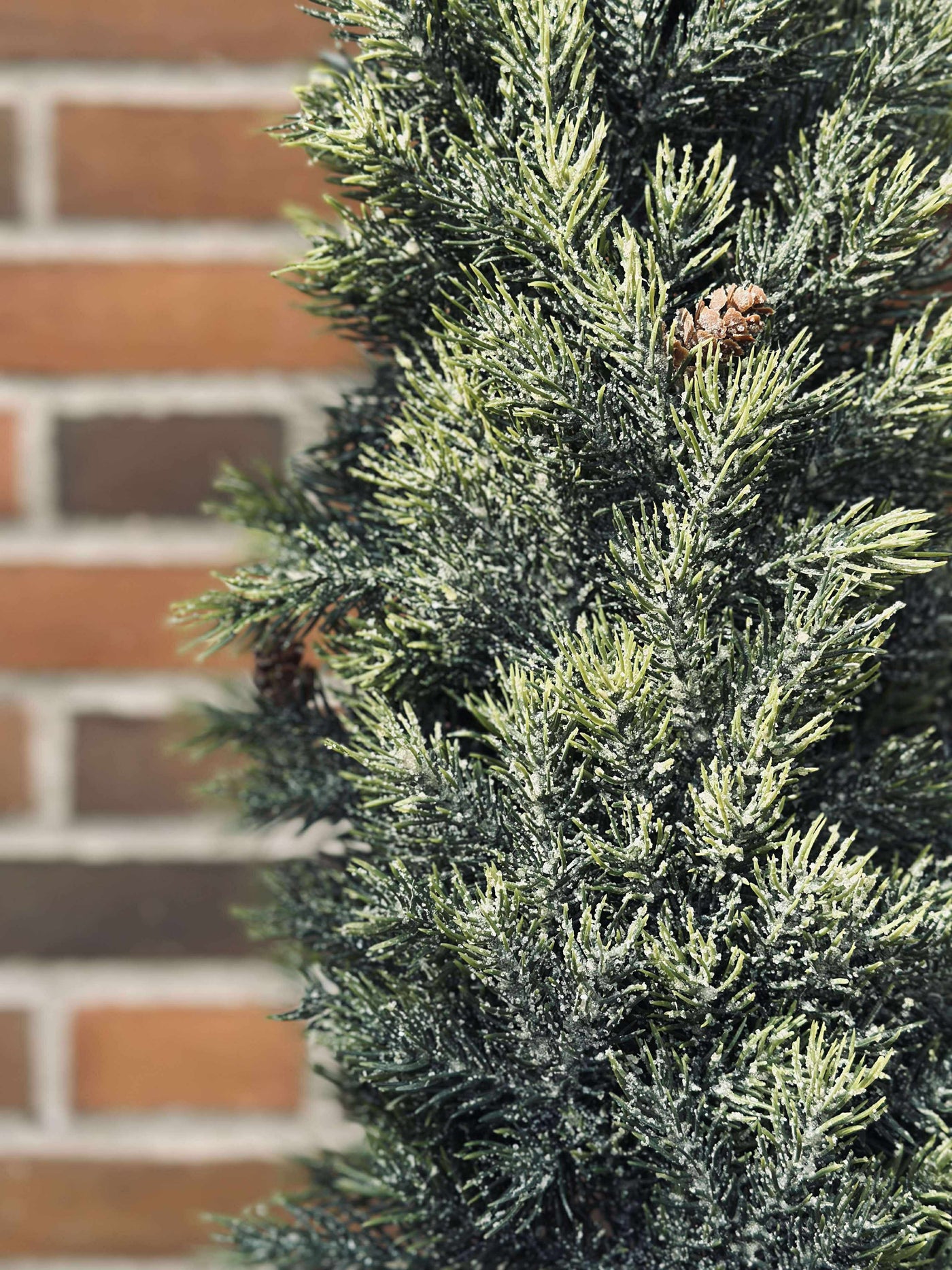 Pinetree MIX | 106 cm | Vanero