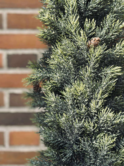 Pinetree MIX | 106 cm | Vanero