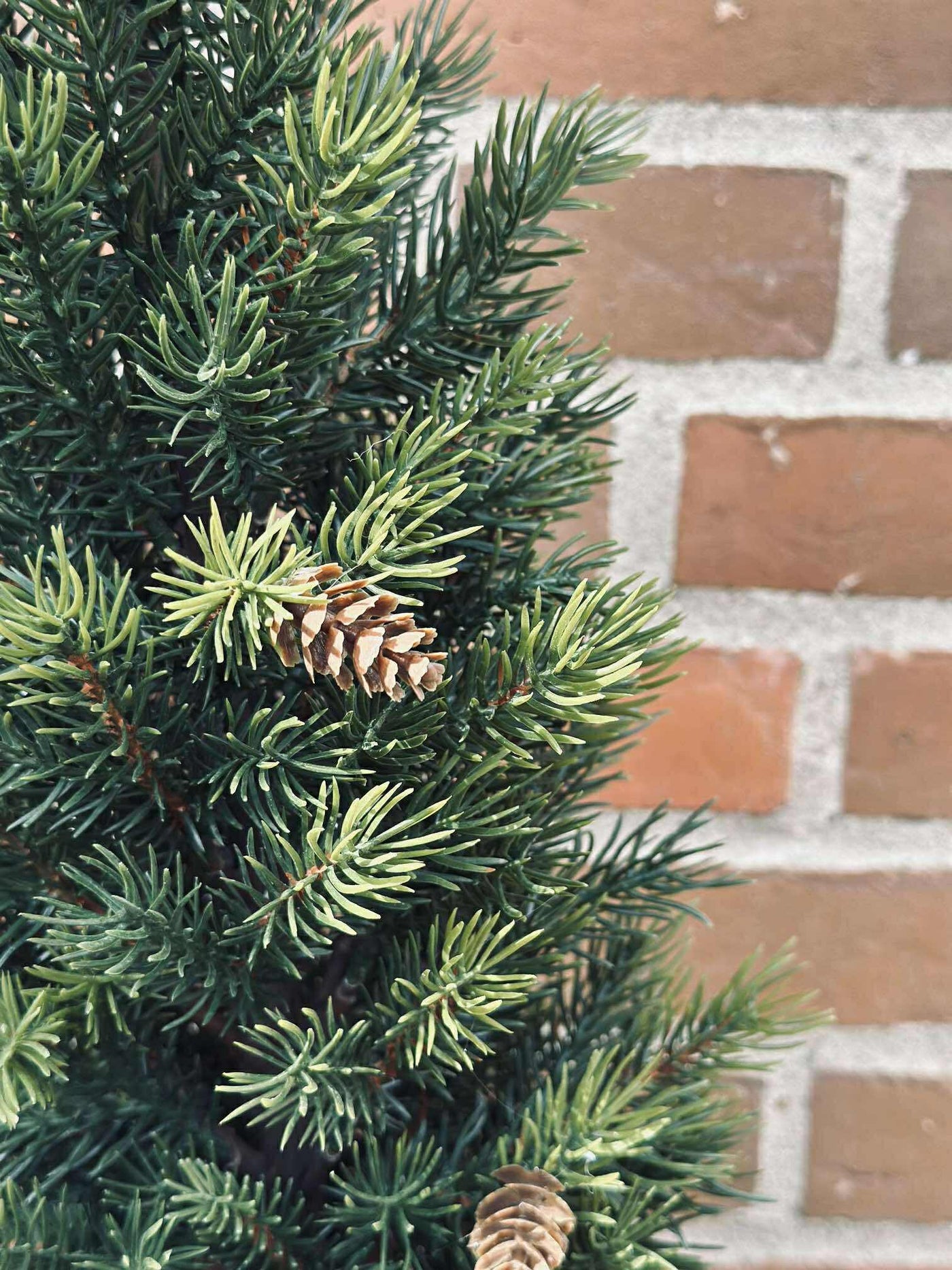 Pinetree MIX | 106 cm | Vanero