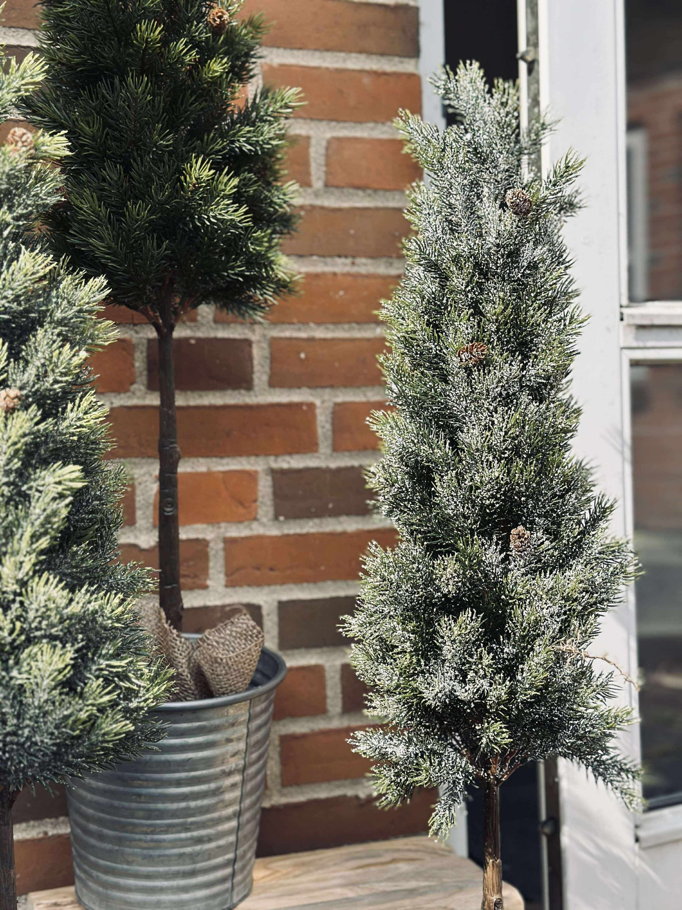 Pinetree MIX | 106 cm | Vanero