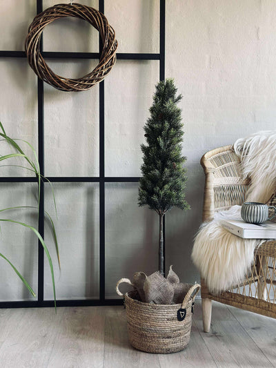 Pinetree MIX | 106 cm | Vanero