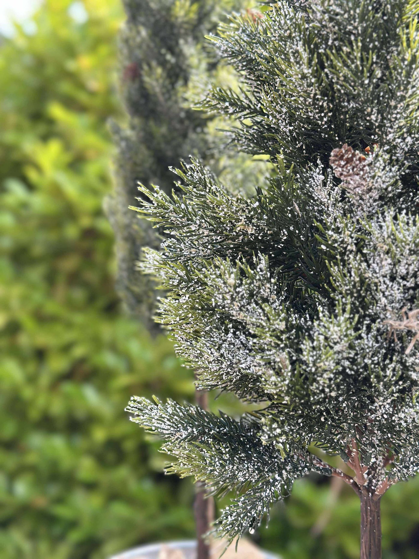 Pinetree MIX | 106 cm | Vanero