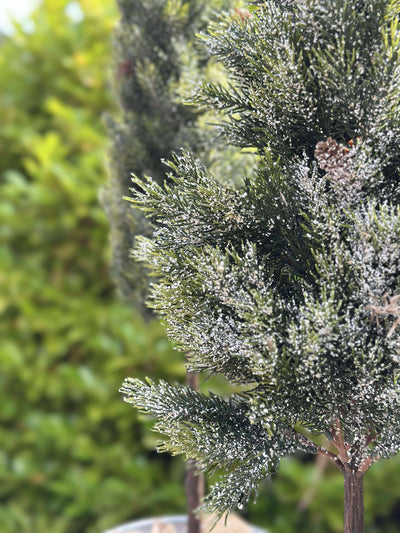 Pinetree MIX | 106 cm | Vanero