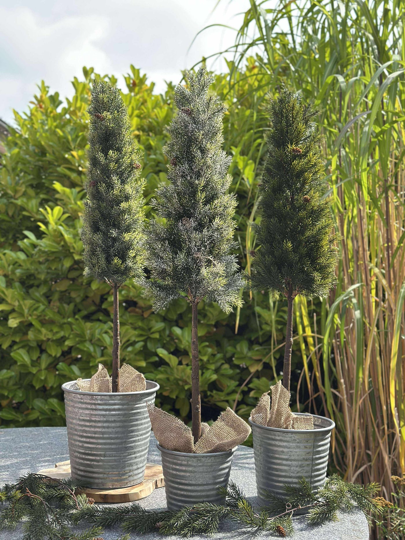 Pinetree MIX | 106 cm | Vanero