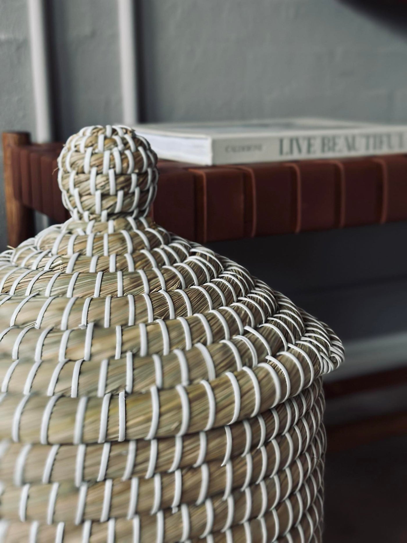 Kurve med Låg i Søgræs | Sæt med 2 Stk | Vanero