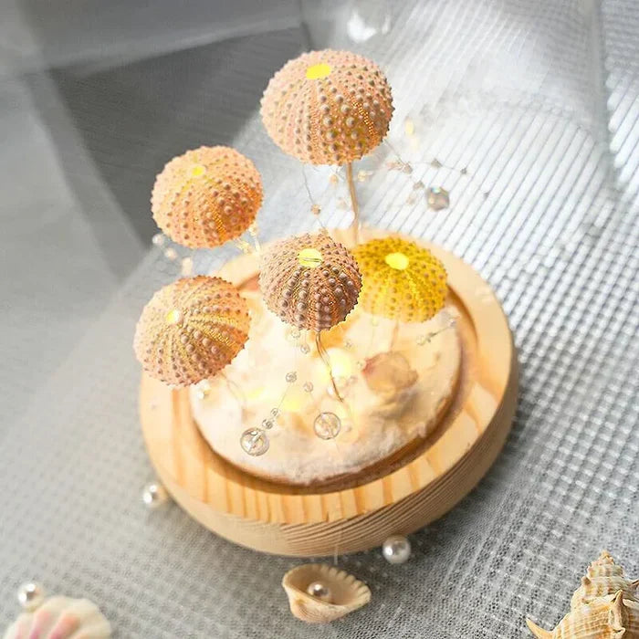 CoastalGlow DIY Søpindsvin | Natlampe | Vanero