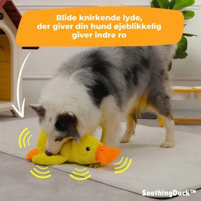 SoothingDuck | Anti-stress-anden til din hund l Vanero