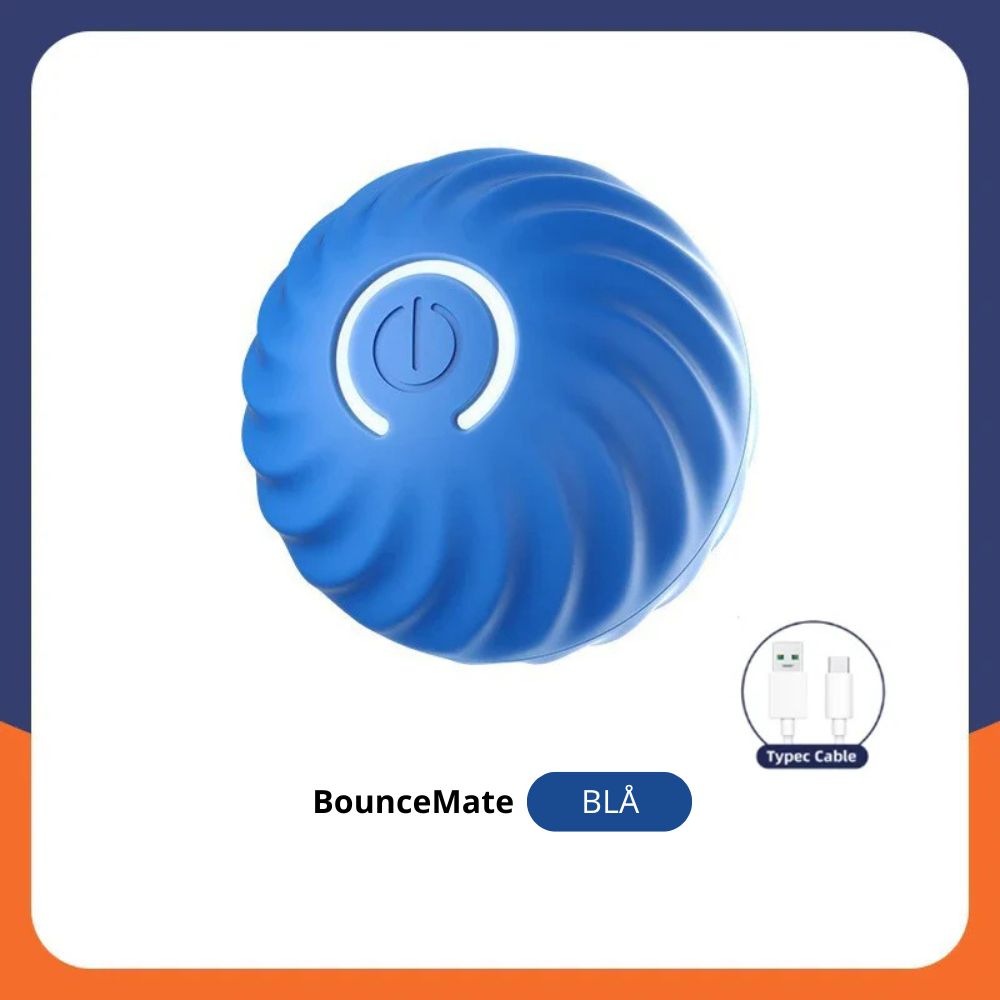 BounceMate | Interaktiv Bold Til Kæledyr l Vanero