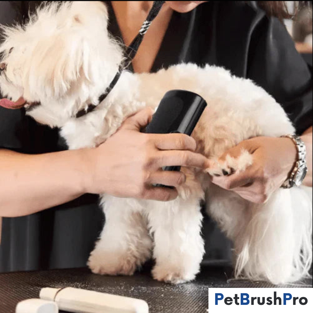 PetBrush Pro | Professionel Børste l Vanero