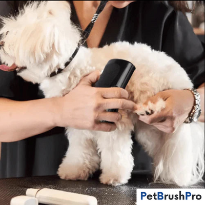 PetBrush Pro | Professionel Børste l Vanero