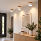 Kompakt LED Loftlampe | Loftbelysning i Metal og Glas | Indendørs Loftarmatur | Vanero
