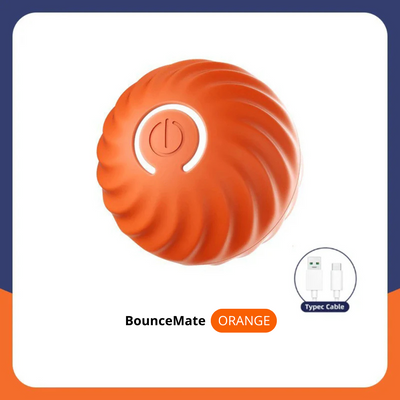 BounceMate | Interaktiv Bold Til Kæledyr l Vanero