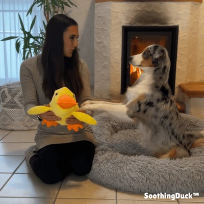 SoothingDuck | Anti-stress-anden til din hund l Vanero