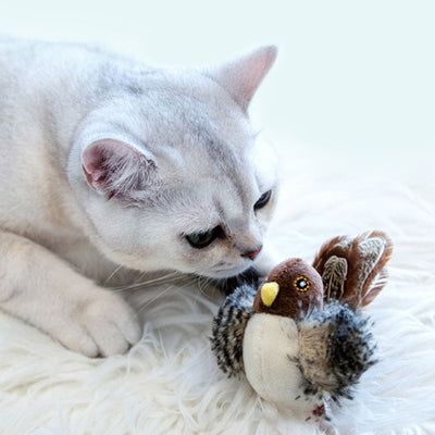 Catfri BirdToy | Interaktiv Kvidrende Fugl Legetøj Til Katte | Vanero