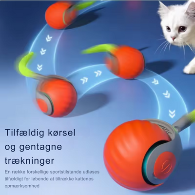 SpeedyTail 2.0 | Den nye konge af interaktivt legetøj til katte l Vanero