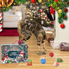 Adventskalender | 24 Kattelegetøjsoverraskelser | Jule Nedtælling til Katte Sæsonaktivitet | Vanero