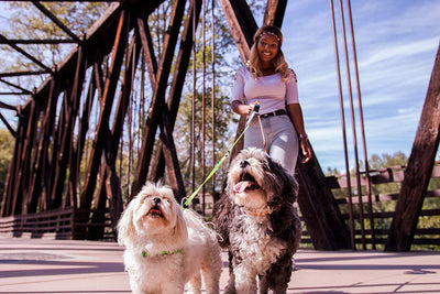 DualDog | Flexileine Til Hunde | Vanero