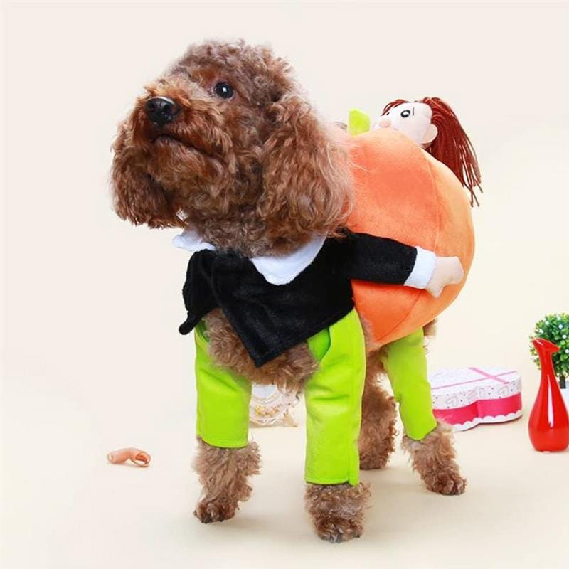 Hundekostume Fleece & Plys | Græskar Kostume med Stilk-Hætte | Halloween, Temafester & Sæsonaktiviteter | Vanero