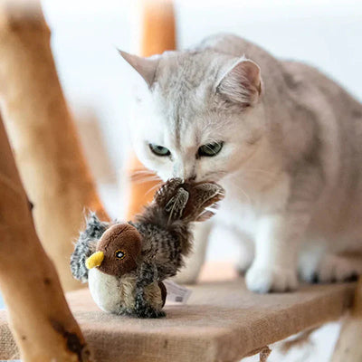 Catfri BirdToy | Interaktiv Kvidrende Fugl Legetøj Til Katte | Vanero