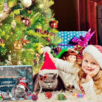 Adventskalender | 24 Kattelegetøjsoverraskelser | Jule Nedtælling til Katte Sæsonaktivitet | Vanero