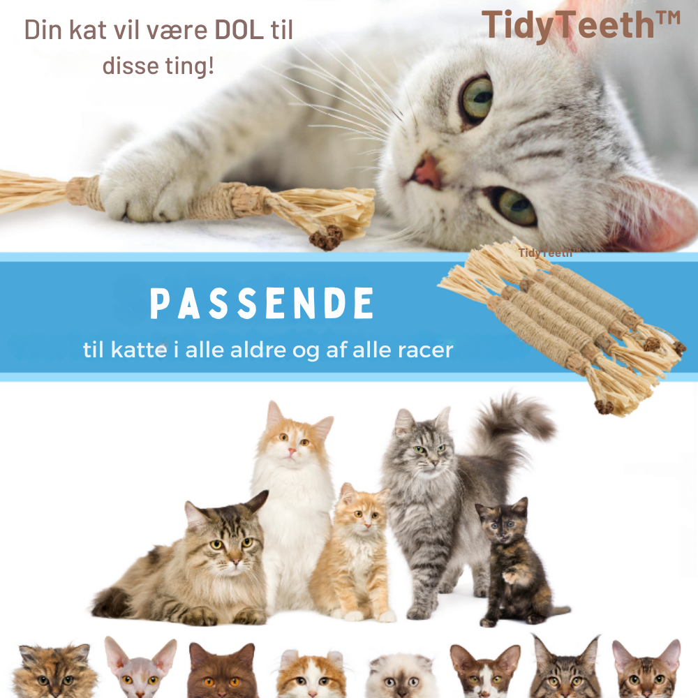 TidyTeeth | Naturlig Silvervine Stick tyggelegetøj til katte l Vanero