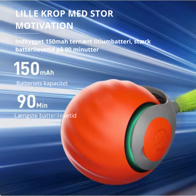 SpeedyTail 2.0 | Den nye konge af interaktivt legetøj til katte l Vanero