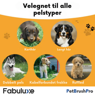 PetBrush Pro | Professionel Børste l Vanero