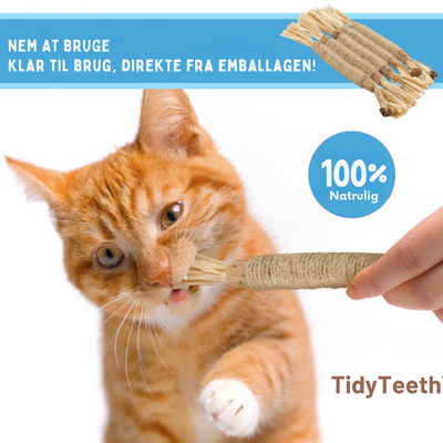 TidyTeeth | Naturlig Silvervine Stick tyggelegetøj til katte l Vanero