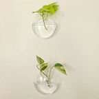 Vægplanter I Borosilikatglas Til Små Planter | Ophængt Glasvase Til Vægdekoration | Indendørs Plantevisning | Vanero