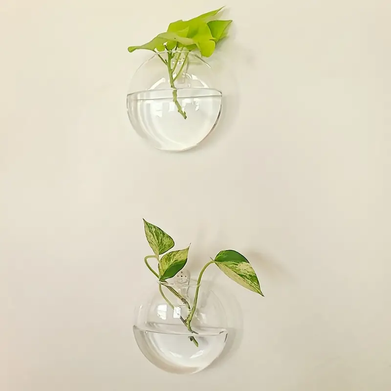 Vægplanter I Borosilikatglas Til Små Planter | Ophængt Glasvase Til Vægdekoration | Indendørs Plantevisning | Vanero