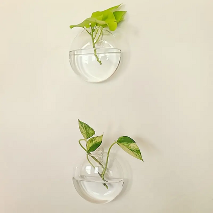 AquaPod | Oblate Form Glas Vægplanter l Vanero