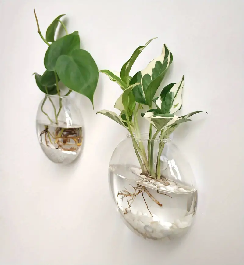Vægplanter I Borosilikatglas Til Små Planter | Ophængt Glasvase Til Vægdekoration | Indendørs Plantevisning | Vanero