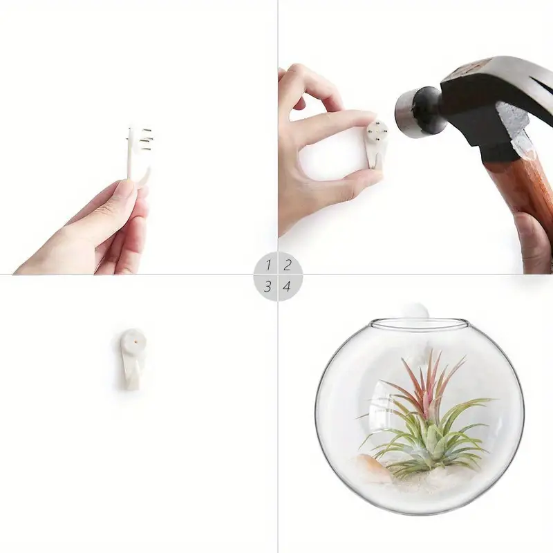 AquaPod | Oblate Form Glas Vægplanter l Vanero