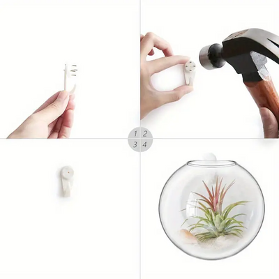 AquaPod | Oblate Form Glas Vægplanter l Vanero