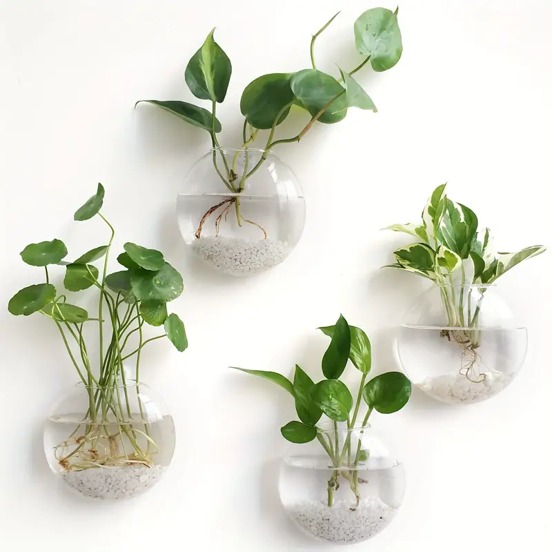 AquaPod | Oblate Form Glas Vægplanter l Vanero