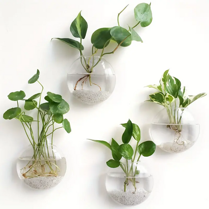 AquaPod | Oblate Form Glas Vægplanter l Vanero