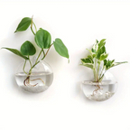 Vægplanter I Borosilikatglas Til Små Planter | Ophængt Glasvase Til Vægdekoration | Indendørs Plantevisning | Vanero
