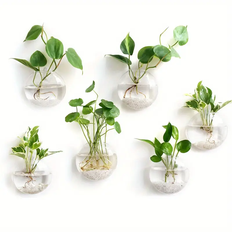 AquaPod | Oblate Form Glas Vægplanter l Vanero
