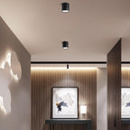 Loftlampe | Overflademonteret LED Lampe Med Matteret Diffuser | Lav Profil Til Indendørs Rum | Vanero