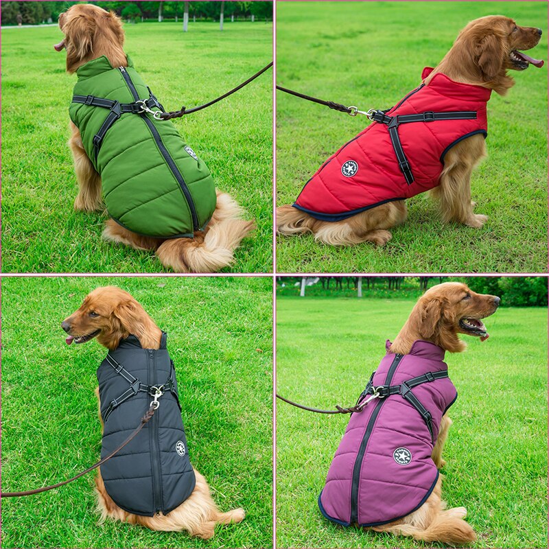 DogFri DogJacket | Vandtæt Vinter Hund Jakke | Vanero