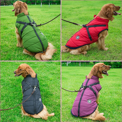 DogFri DogJacket | Vandtæt Vinter Hund Jakke | Vanero