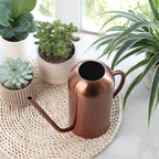 Vandkande Rustfrit Stål 1,5L Kapacitet | Lang Tud Præcisionsvanding Design | Indendørs Udendørs Plante & Blomstervanding | Vanero