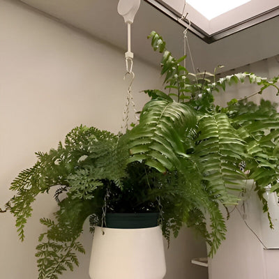 Justerbar Plantevogn | Snoretræk til Indendørs og Udendørs Brug | Vanero