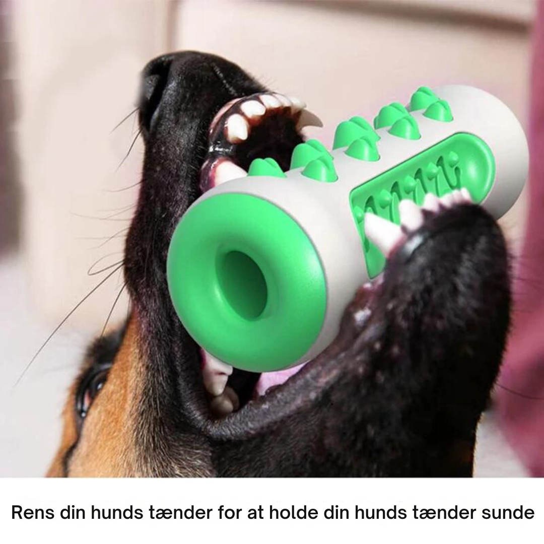 Tandrensende Hundelegetøj | Sjov Og Pleje i Én | Vanero